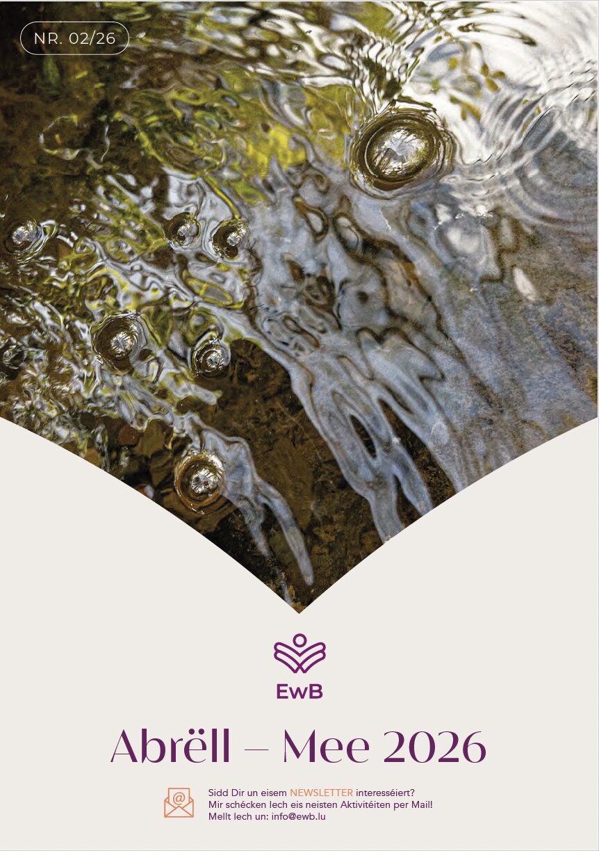 Bildschirmfoto 2026-03-31 um 13.27.45