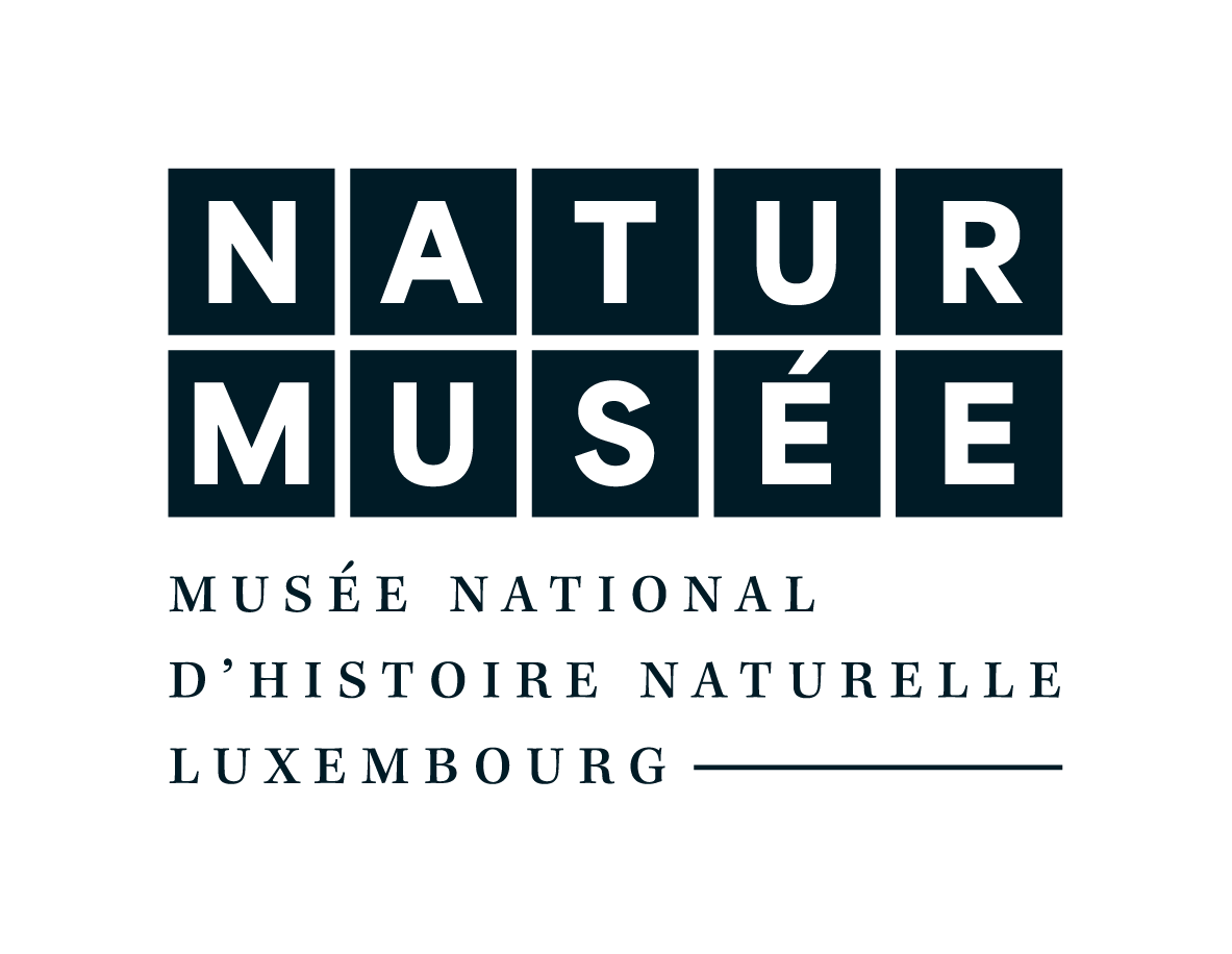 Naturmusee_Logo_Nightblue_Fullname_Small