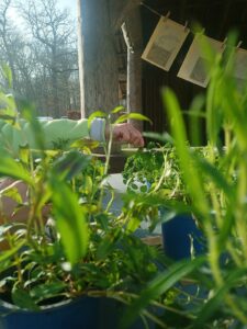 PHOTO-2026-03-16-07-29-22 3