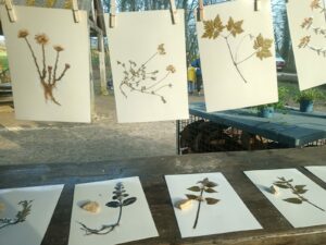 PHOTO-2026-03-16-07-29-22 6