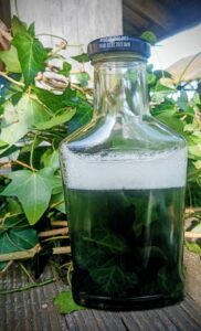 PHOTO-2026-03-16-07-29-23