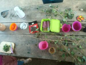 PHOTO-2026-03-16-07-29-24